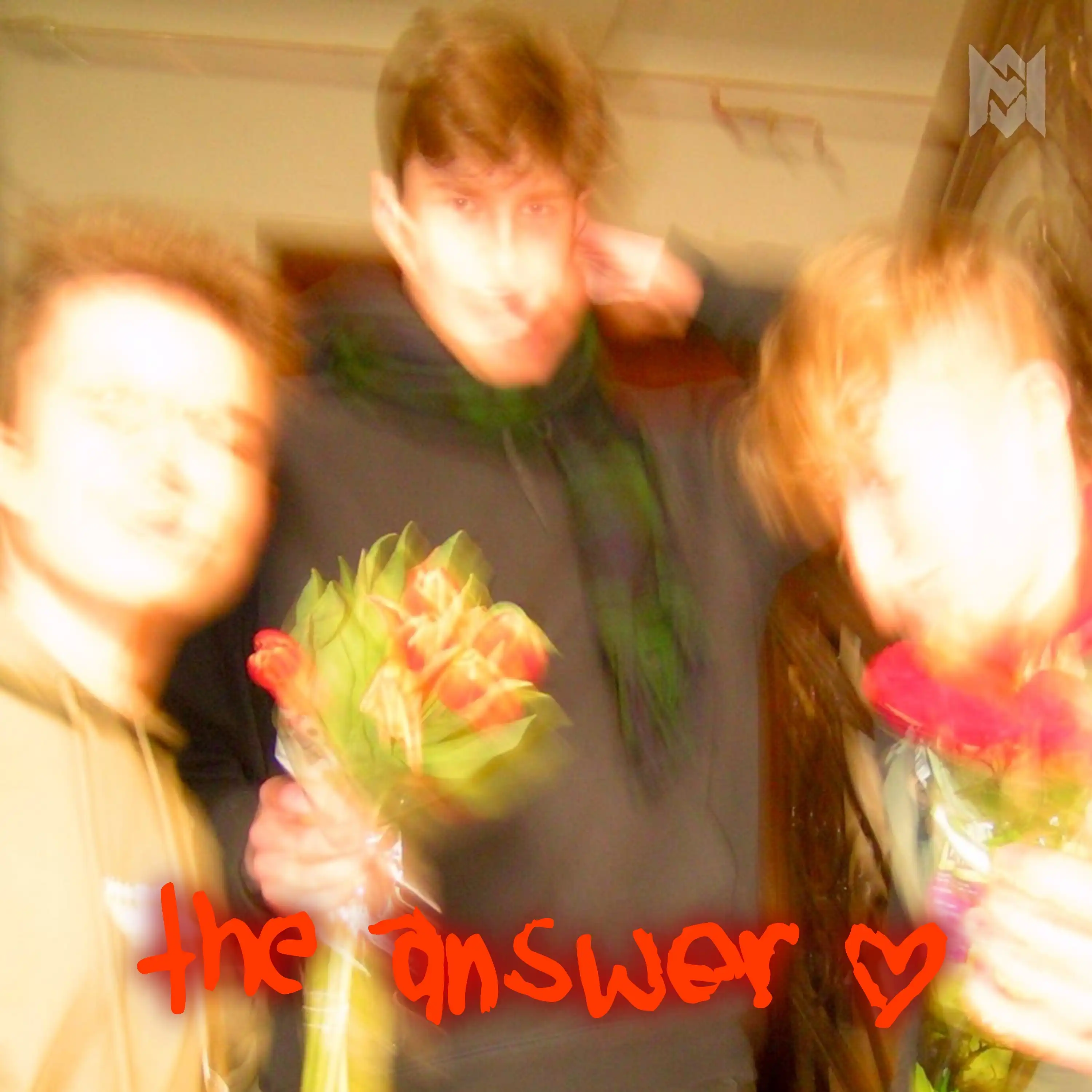 the answer Cover